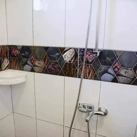 силвия בית הארחה שקורפילובצי